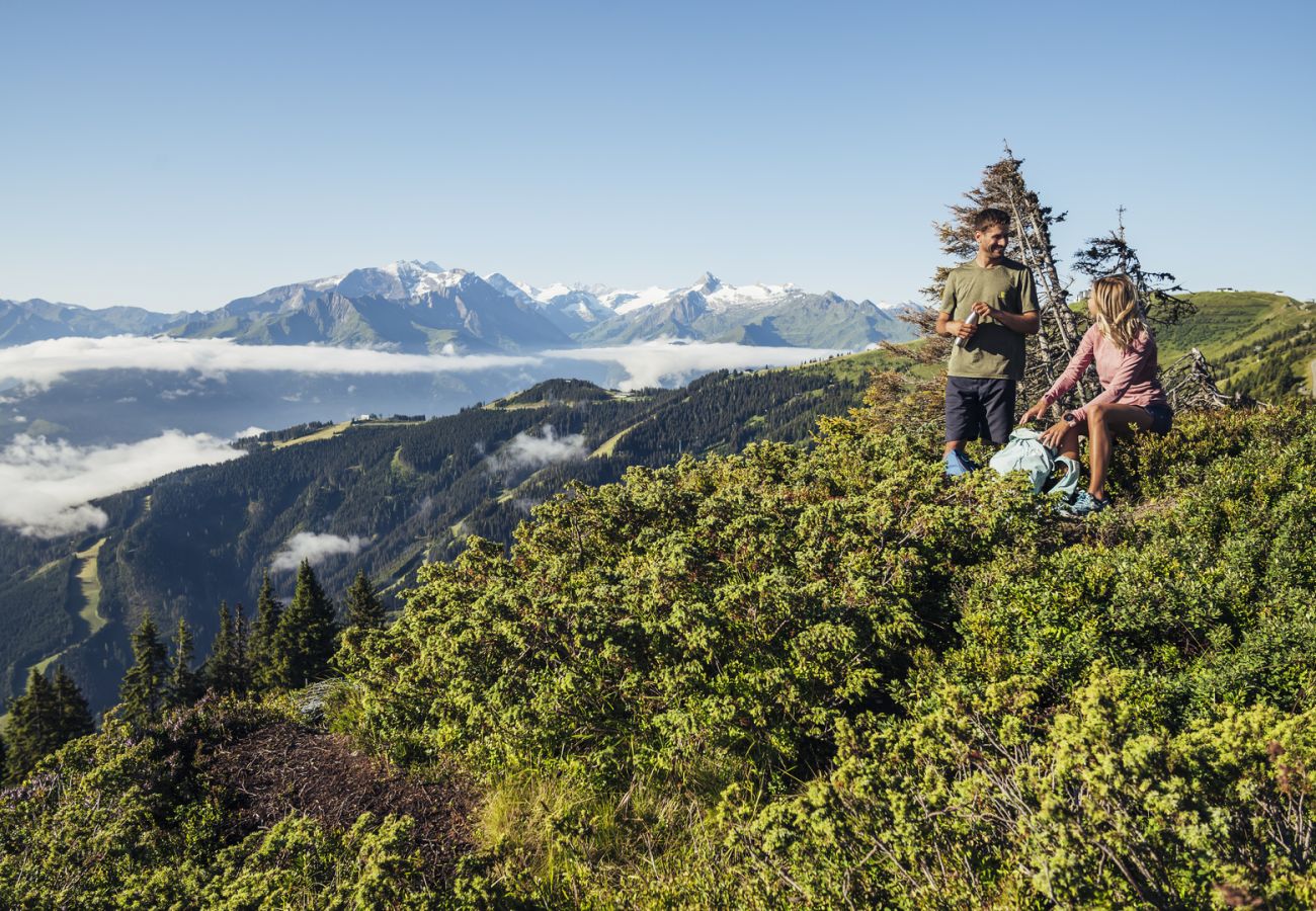 Ferienwohnung in Piesendorf - Maiskogelblick - TOP 2